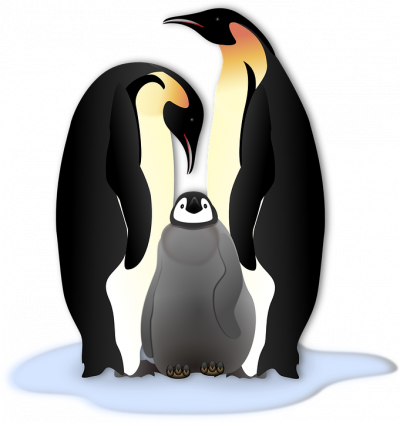 Pingu-Club Allschwil