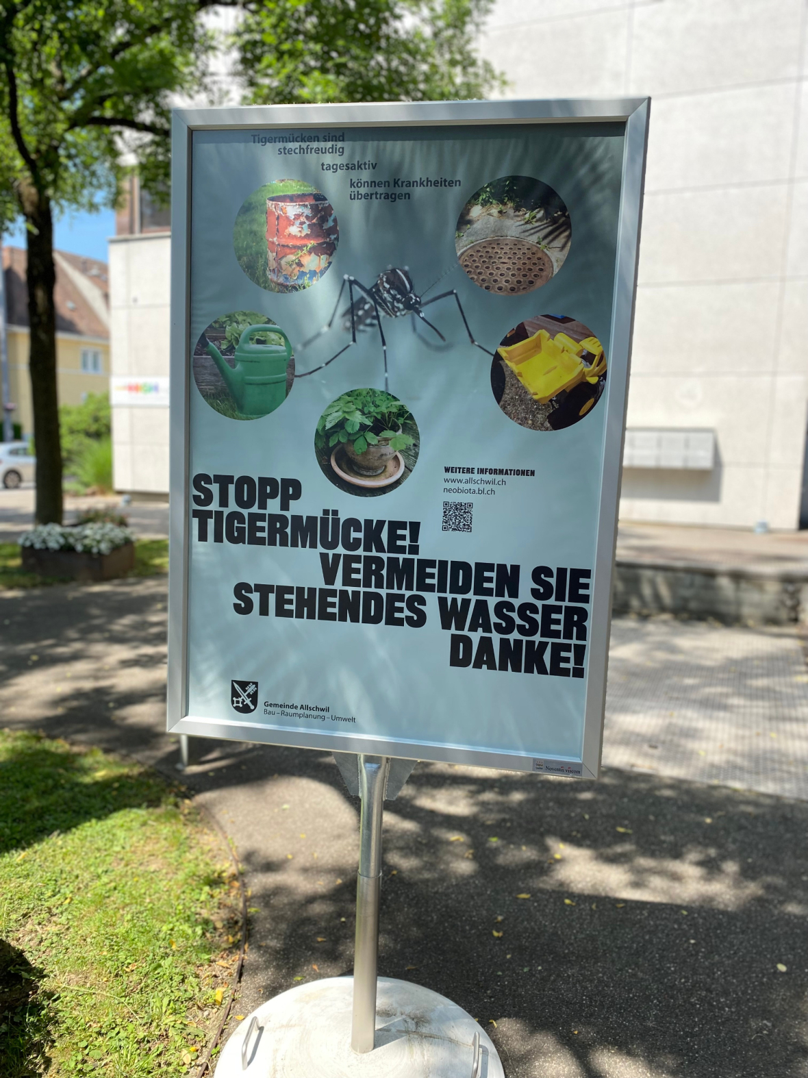 Plakat Tigermücke
