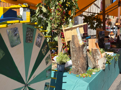 Spätsommermarkt-Begleitbild