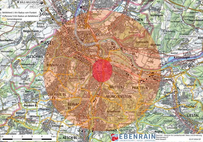 Bild Japankäfer Pufferzone PDF)