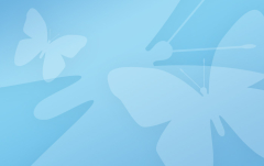 Testbild